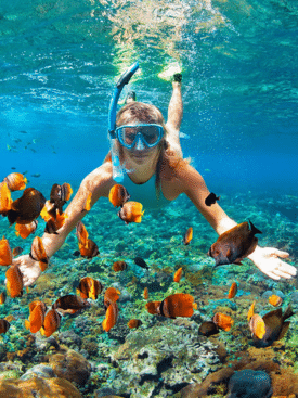 Coral Island Pattaya Snorkeling